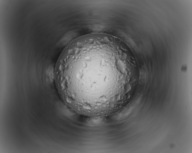 X0000103500479200809121743