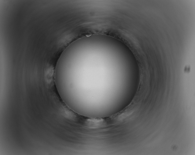 X0000103500480200809121743