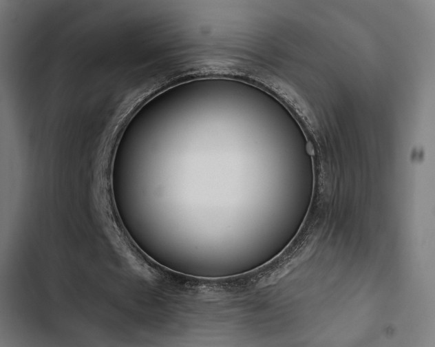 X0000103500481200809121743