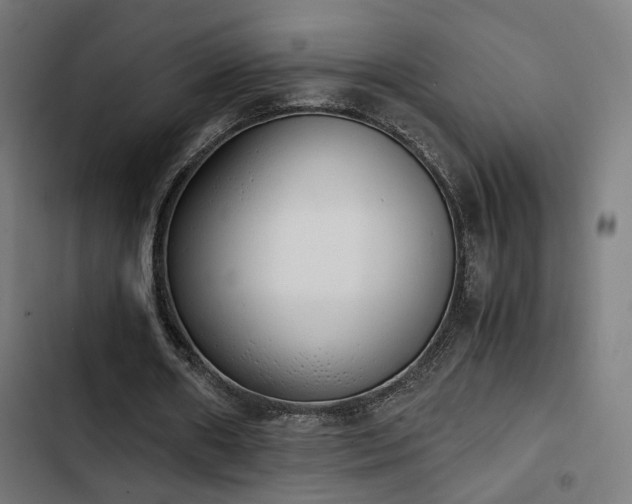 X0000103500482200809121743