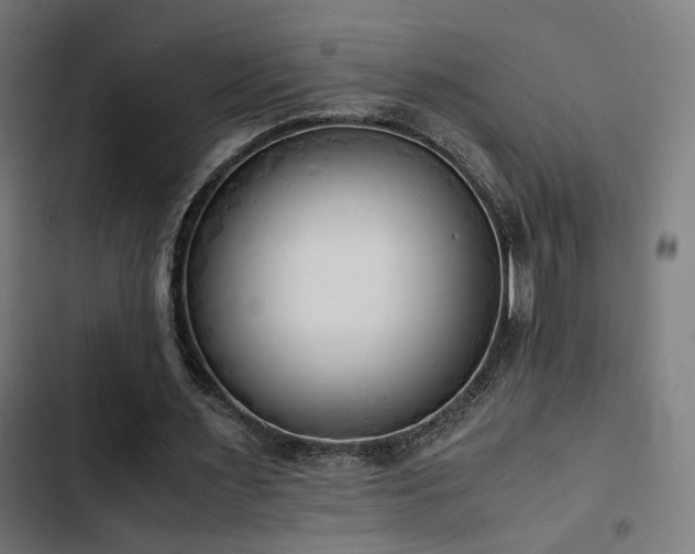 X0000103500483200809121743