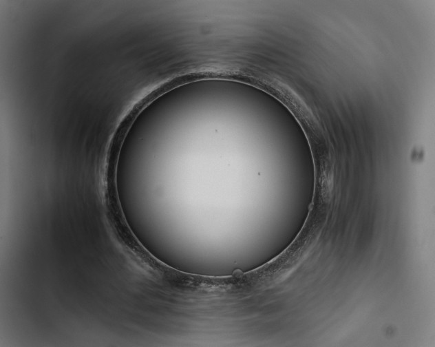 X0000103500484200809121743