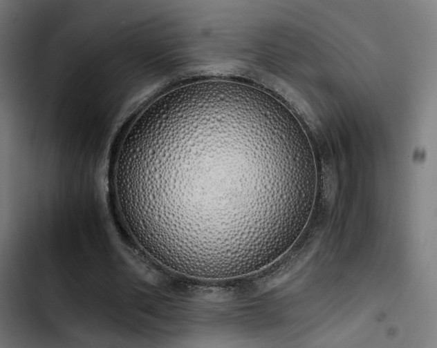 X0000103500486200809121743