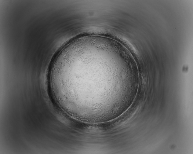 X0000103500487200809121743