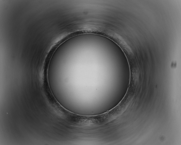 X0000103500488200809121743