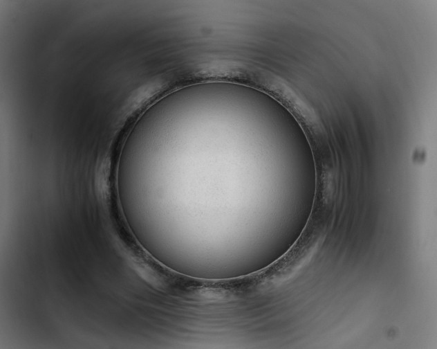 X0000103500490200809121743