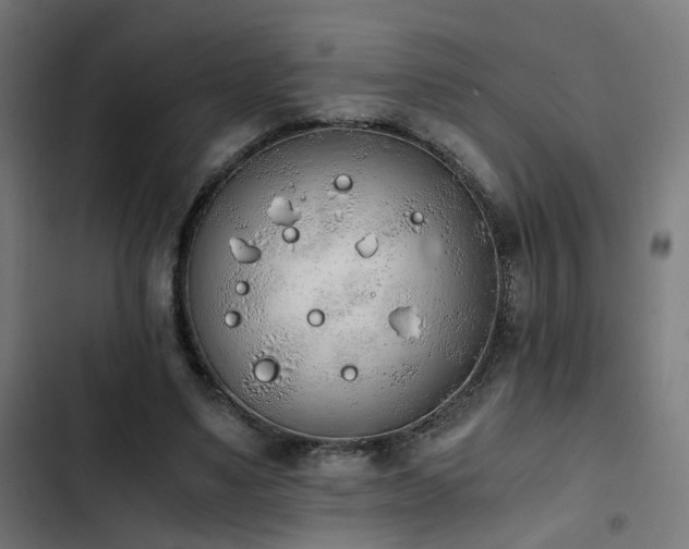 X0000103500491200809121743