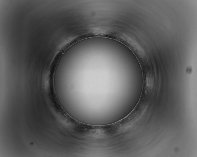 X0000103500492200809121743