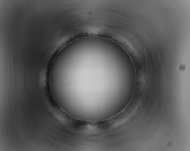 X0000103500496200809121742