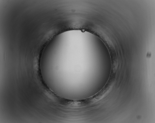 X0000103500497200809121742