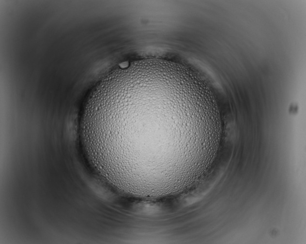 X0000103500498200809121742