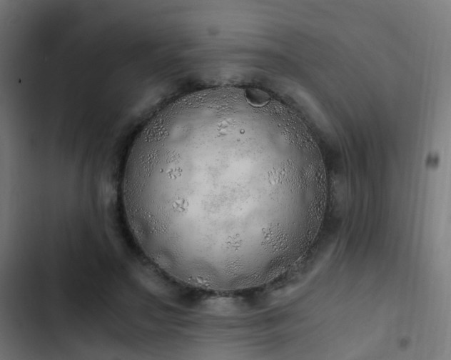 X0000103500499200809121742