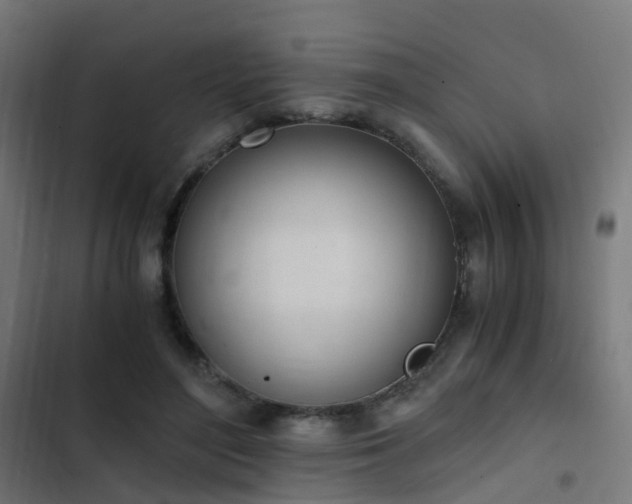 X0000103500500200809121742