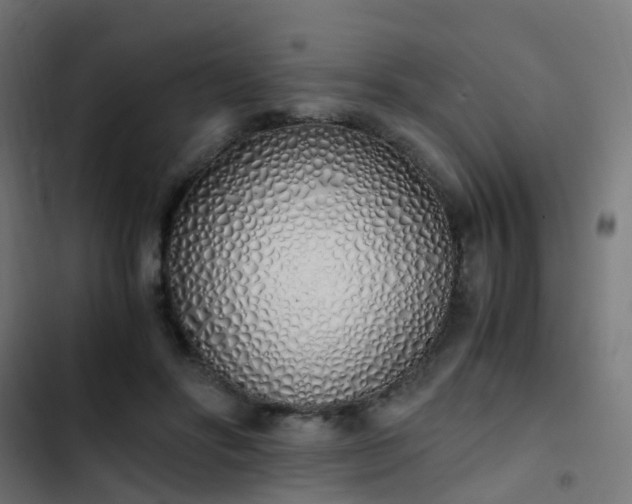 X0000103500502200809121742