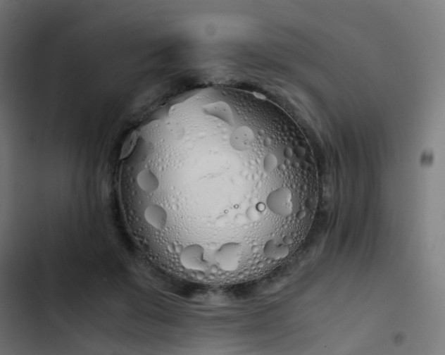 X0000103500503200809121742