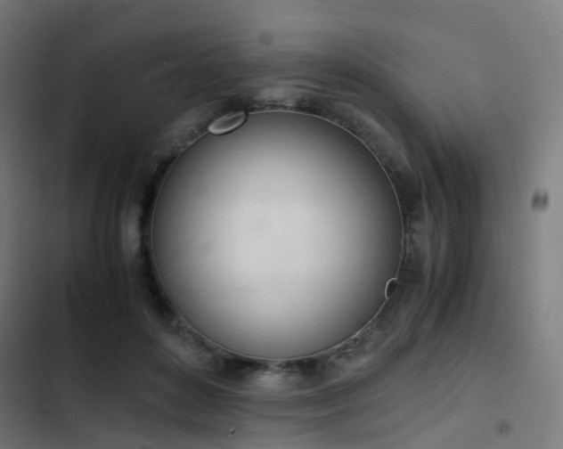 X0000103500504200809121742