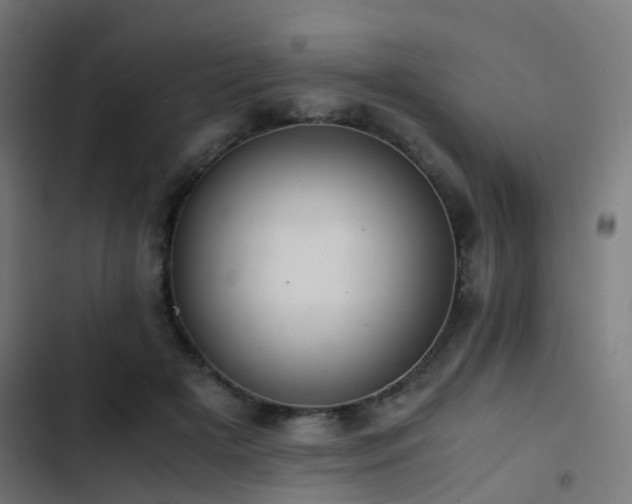 X0000103500505200809121742