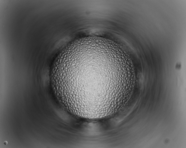 X0000103500506200809121742