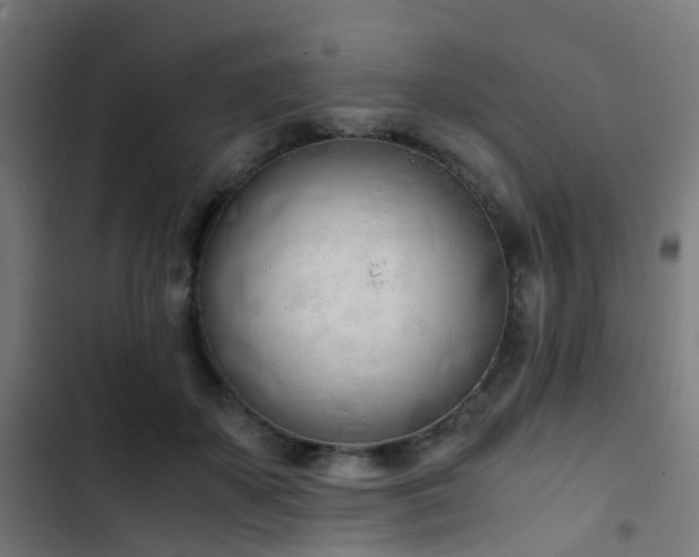 X0000103500507200809121742