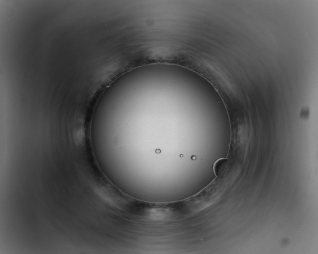 X0000103500508200809121742