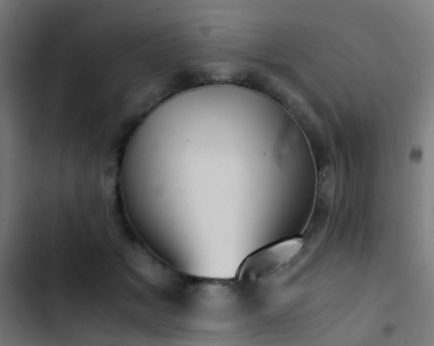 X0000103500509200809121742