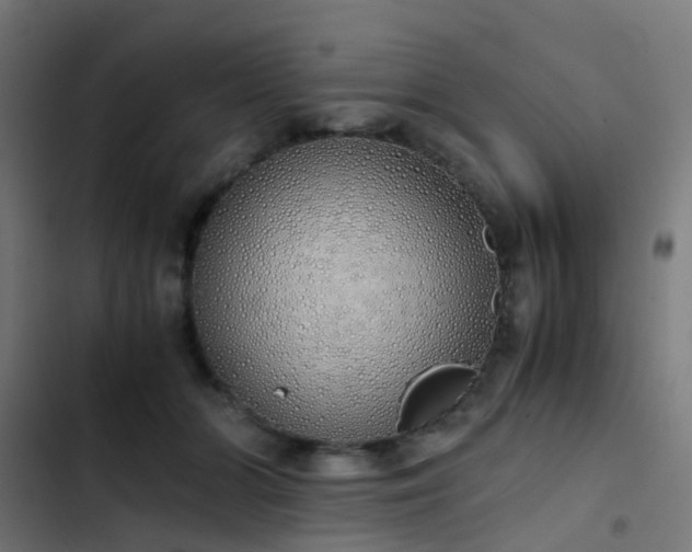 X0000103500510200809121742