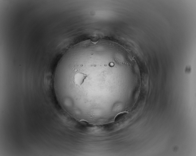 X0000103500511200809121742