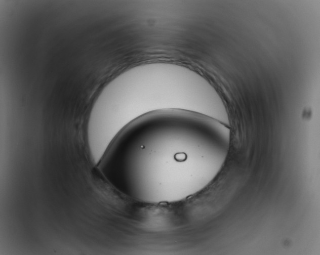 X0000103500512200809121742