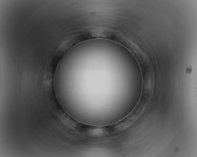 X0000103500513200809121742