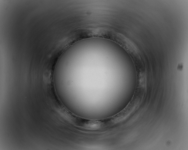 X0000103500514200809121742