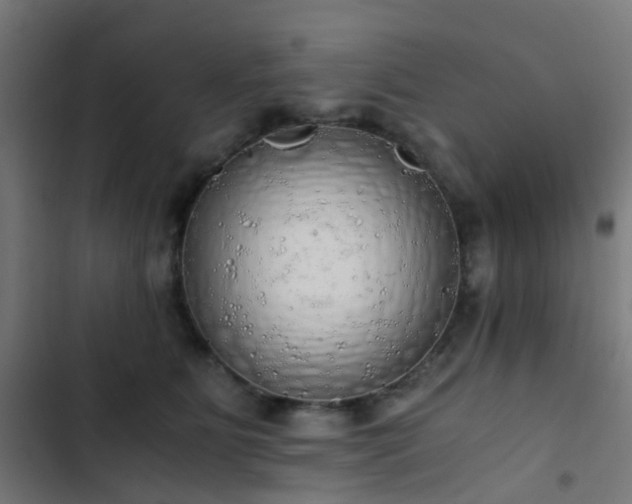 X0000103500515200809121742