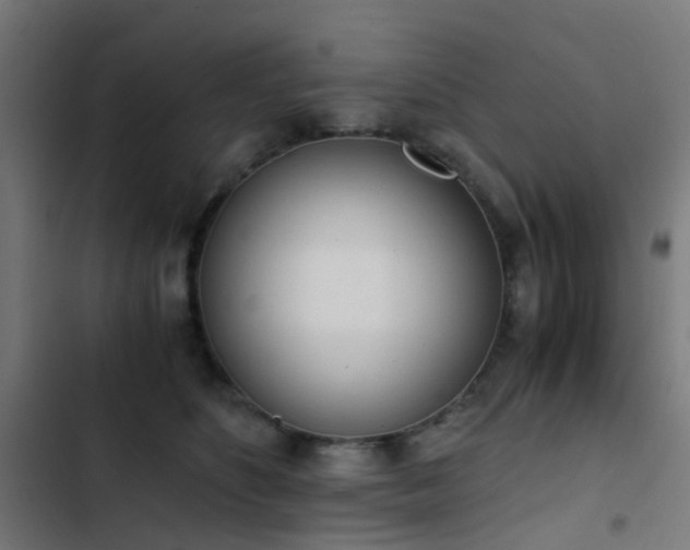 X0000103500516200809121742