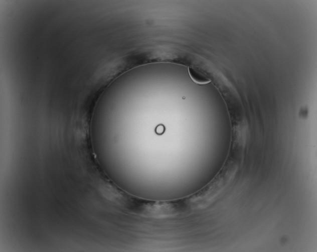 X0000103500517200809121742