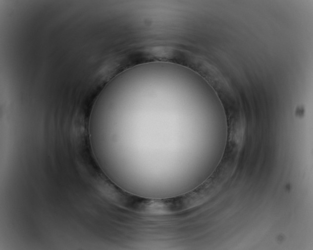 X0000103500518200809121742