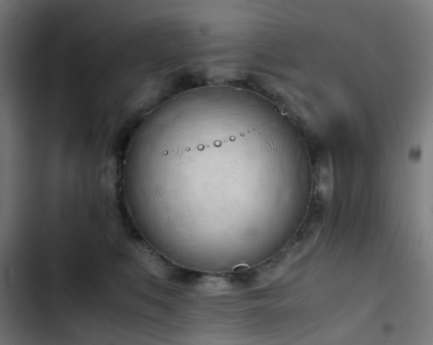 X0000103500519200809121742