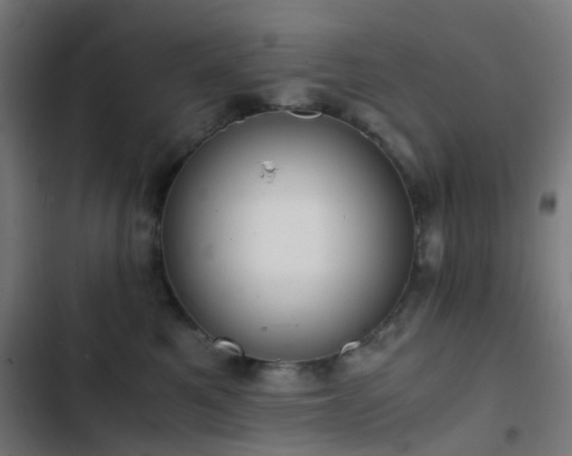 X0000103500521200809121742