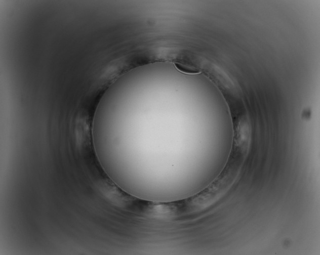 X0000103500522200809121742