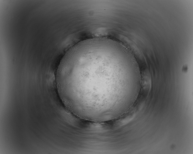 X0000103500523200809121742