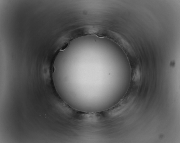 X0000103500524200809121742