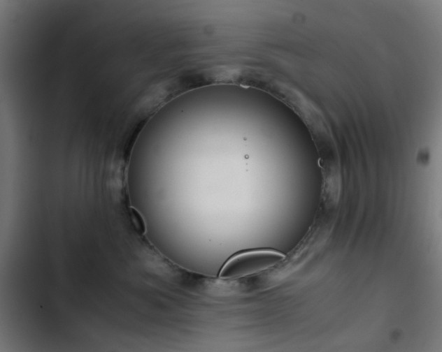 X0000103500525200809121742