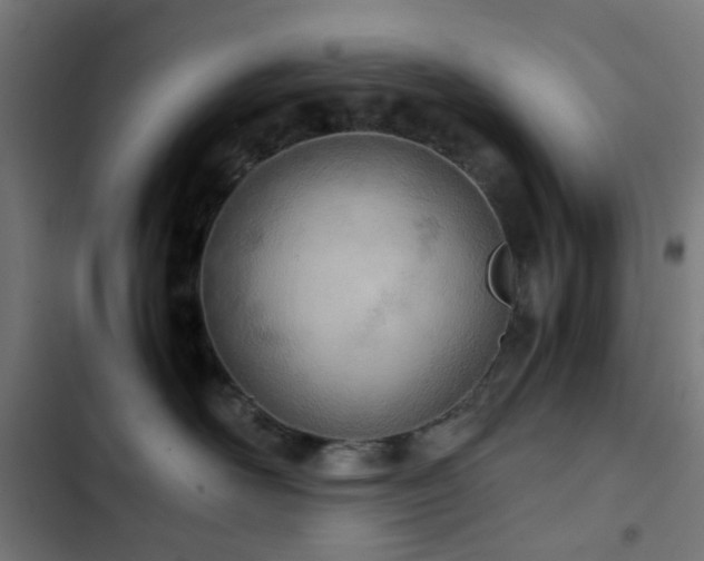 X0000103500526200809121742