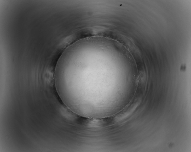 X0000103500527200809121742