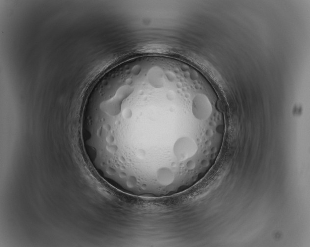 X0000103500529200809121741