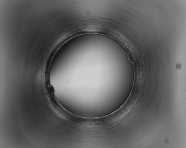 X0000103500530200809121741