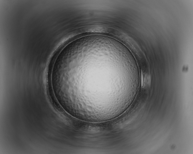 X0000103500531200809121741