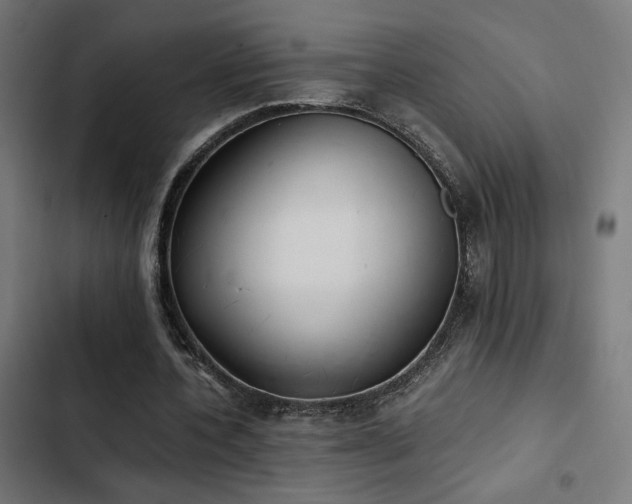 X0000103500532200809121741