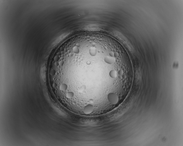 X0000103500533200809121741