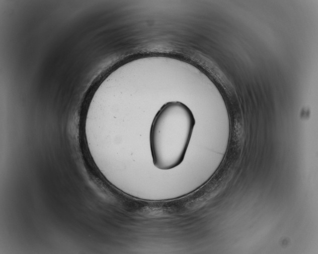 X0000103500534200809121741