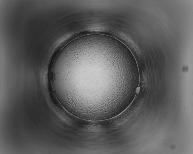 X0000103500535200809121741