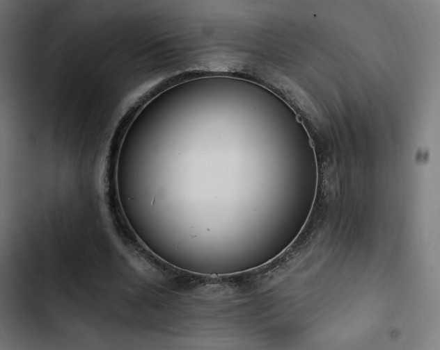 X0000103500536200809121741